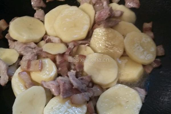 土豆烧肉的做法图解5