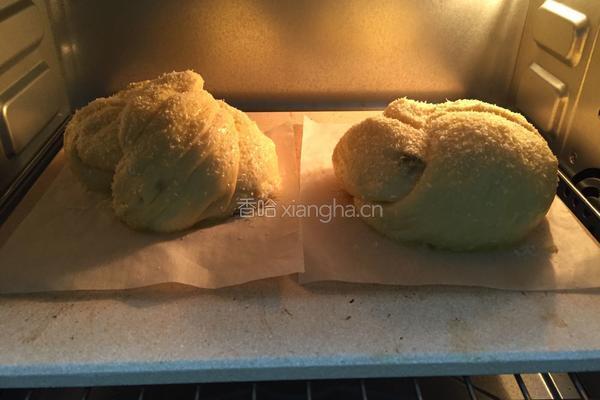 葡萄干椰蓉面包的做法图解12