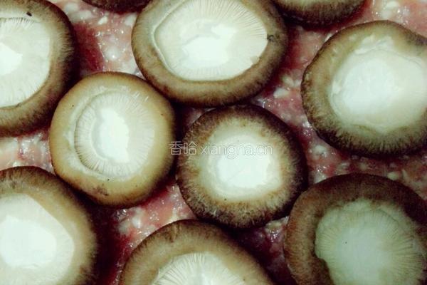 肉末香菇蒸鸭蛋火腿的做法图解6
