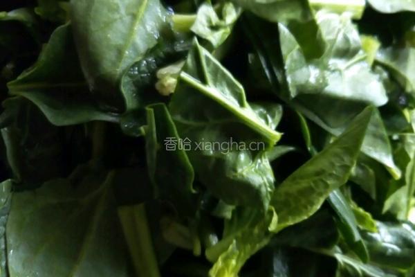 菠菜鸡蛋粉丝😃的做法图解2
