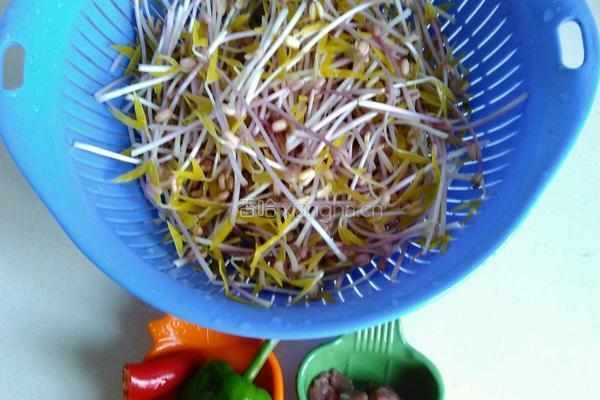 绿豆芽炒肉丝的做法图解1