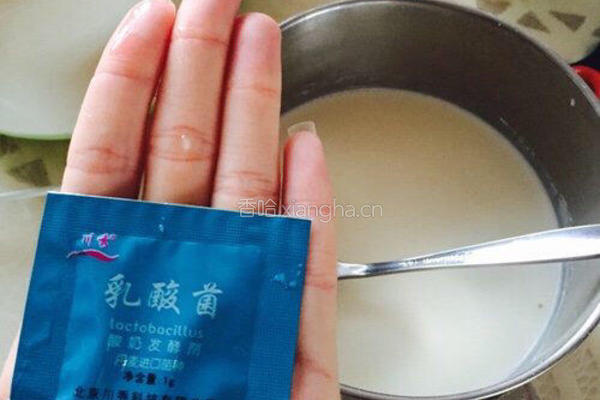 自制奶粉酸奶的做法图解2