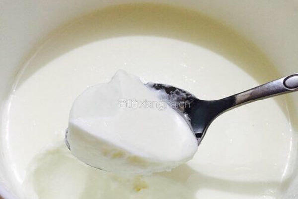 自制奶粉酸奶的做法图解8