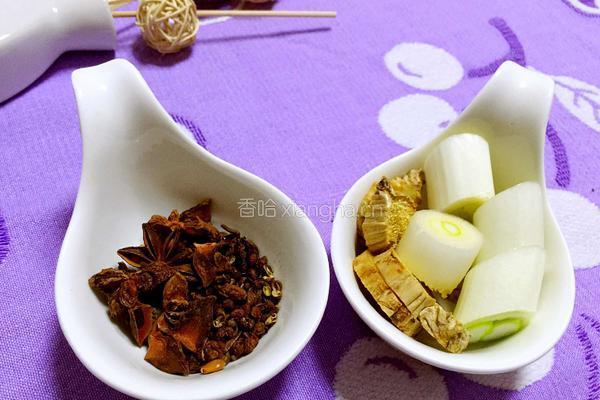 酱辣椒牛肉的做法图解2