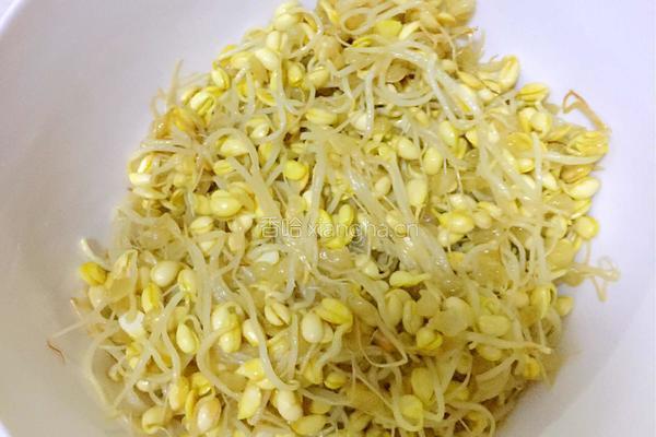 拌豆芽的做法图解3