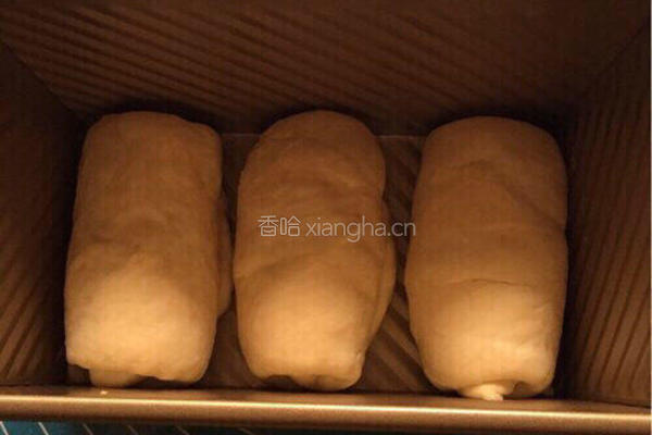 牛奶土司的做法图解12