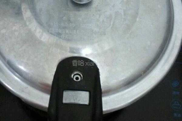 蘑菇炖肉的做法图解8