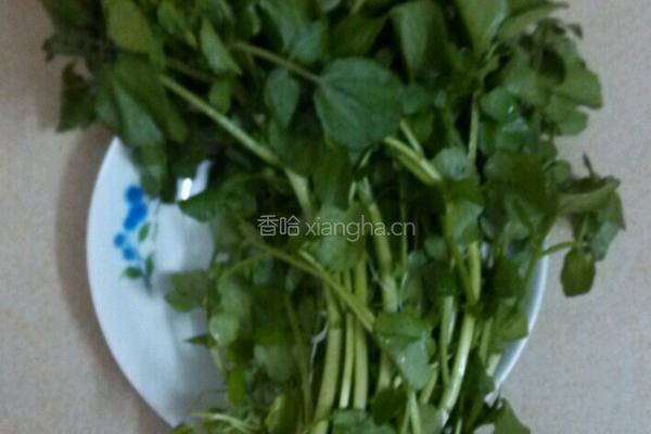 西洋菜饺子汤的做法图解1