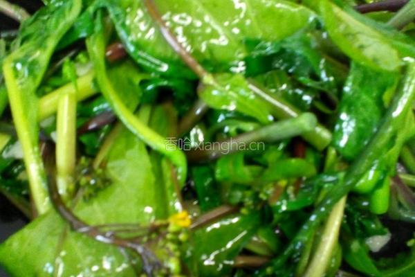 蒜泥红苔菜的做法图解4