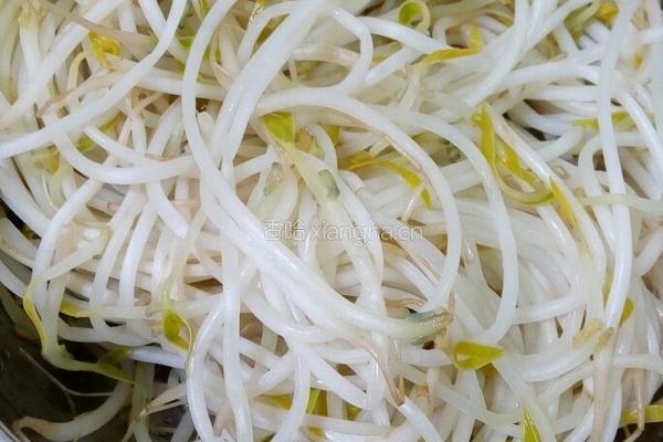 凉拌豆芽的做法图解3