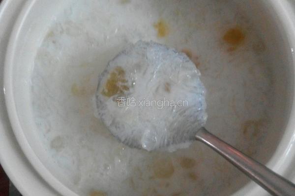 椰汁雪燕羹的做法图解6