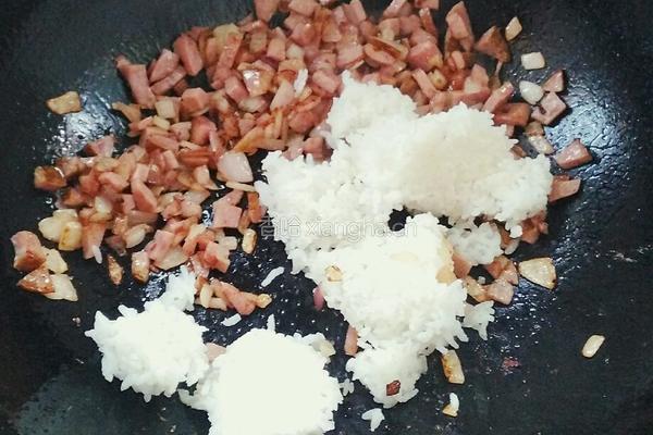 红肠焗饭的做法图解9