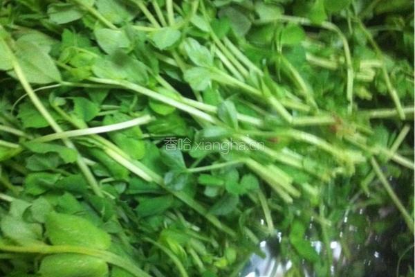 鸡丝豌豆苗的做法图解2