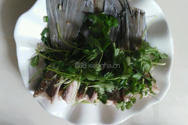 清蒸鲩鱼尾的做法图解6