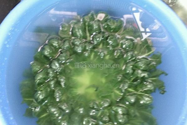 蒜茸炒塔菜的做法图解2