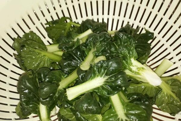 蒜茸炒塔菜的做法图解4