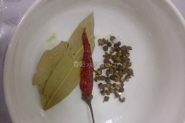 西红柿炖牛腩的做法图解2