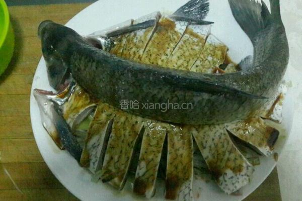 清蒸武昌鱼的做法图解6
