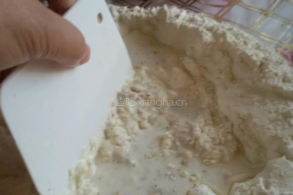 香菇豆沙包的做法图解5