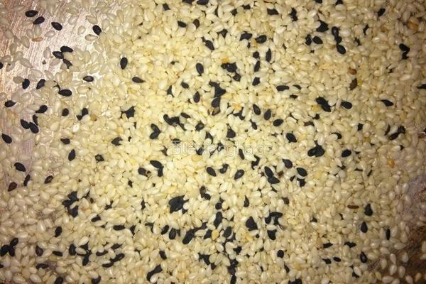 椒盐芝麻牛舌饼的做法图解12