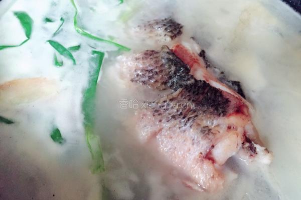 黑鱼汤的做法图解6