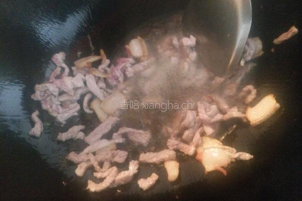 肉丝绿豆芽的做法图解4