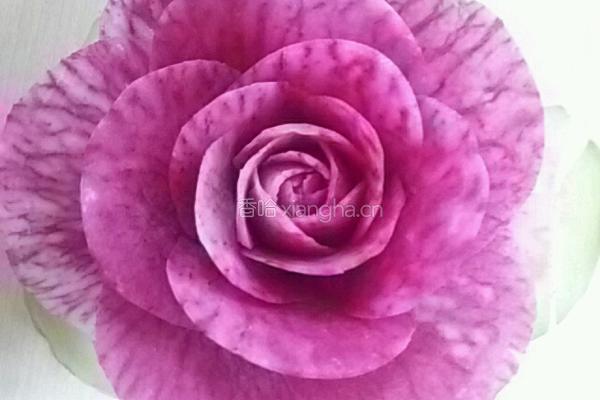 雕刻月季花的做法图解12