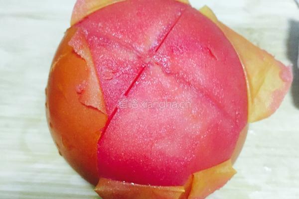 番茄豆腐的做法图解6