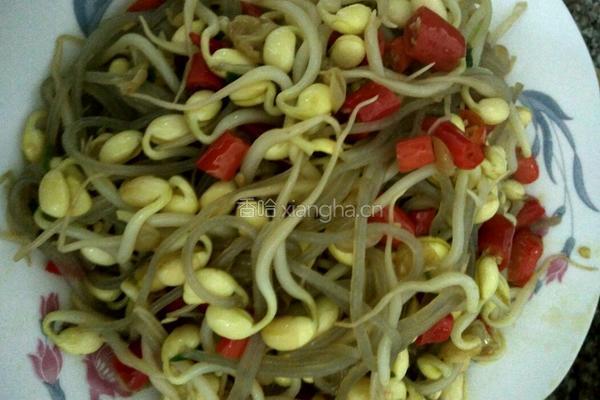 豆芽粉丝的做法图解6