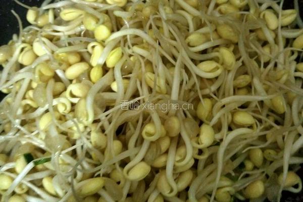 豆芽粉丝的做法图解3