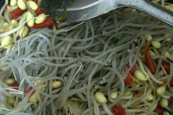 豆芽粉丝的做法图解5