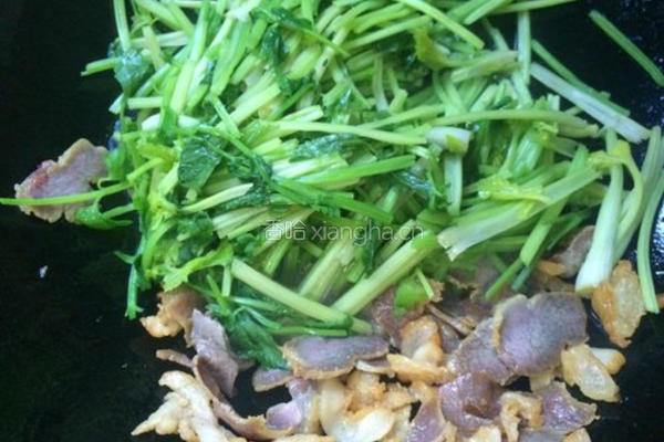 芹菜炒腊肉的做法图解7