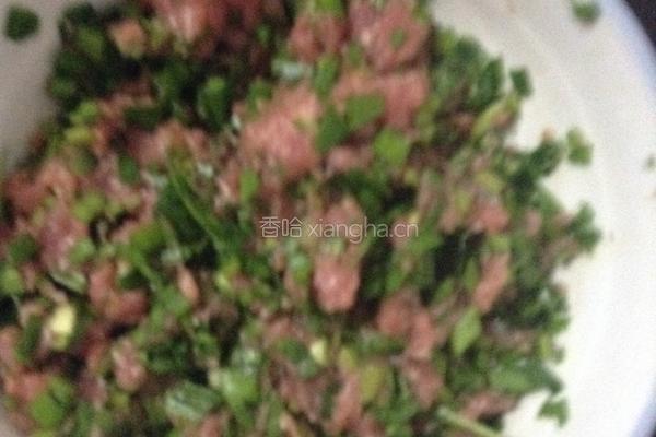 韭菜猪肉锅贴的做法图解3