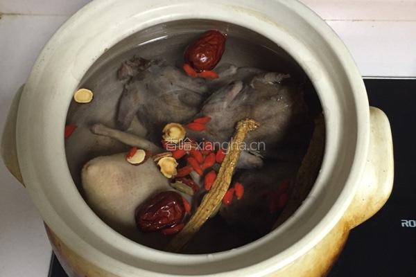 斑鸠乳鸽汤的做法图解3