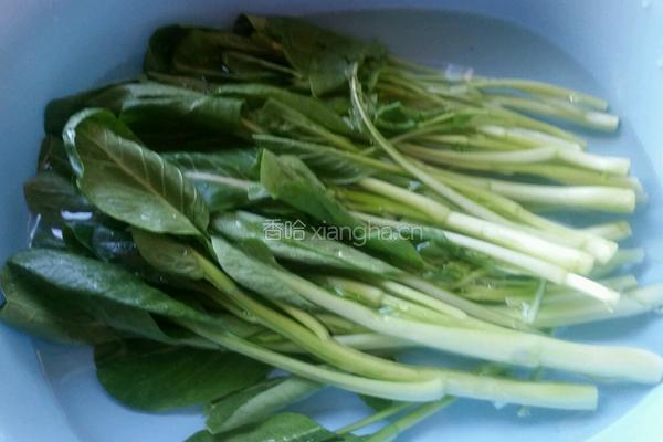 白灼菜心的做法图解1