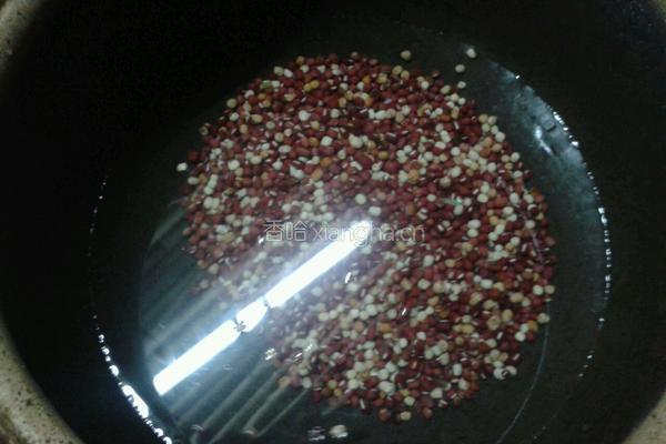自制豆沙的做法图解1