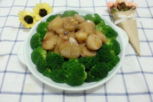 西兰花耗油杏鲍菇的做法图解11