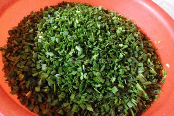 韭菜猪肉水饺的做法图解2