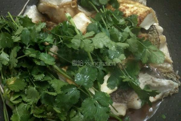 鱼煮豆腐的做法图解3