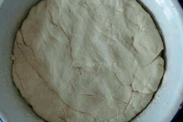 嘟嘟鲜肉饼?的做法图解1