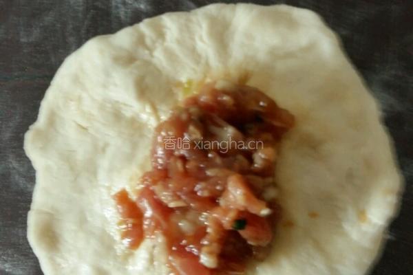 嘟嘟鲜肉饼?的做法图解5