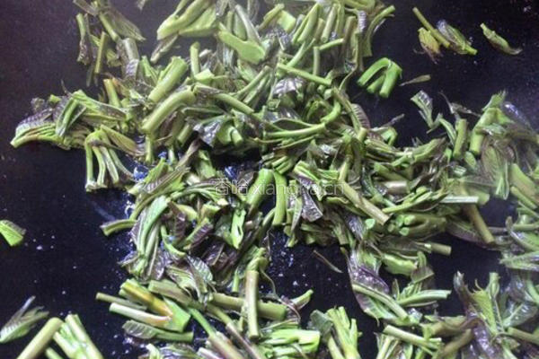 椿芽炒蛋的做法图解6