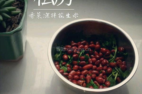 香菜凉拌花生米（老妈牌）