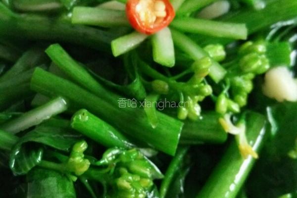 爆炒芥蓝的做法图解1