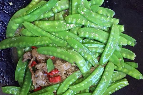 荷兰豆炒肉的做法图解9