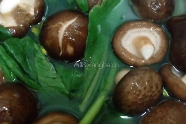 香菇青菜瘦肉粥的做法图解6