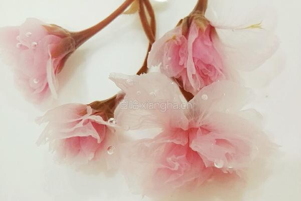 水晶花球的做法图解4