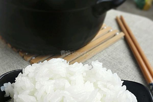如何煮好一碗白米饭的做法图解8
