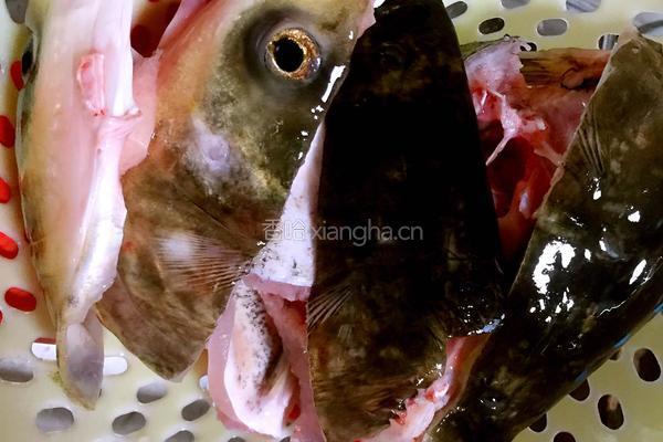 鱼头豆腐汤的做法图解1