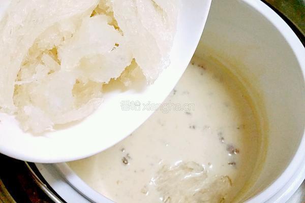 杏汁燉燕窩桃膠的做法图解8